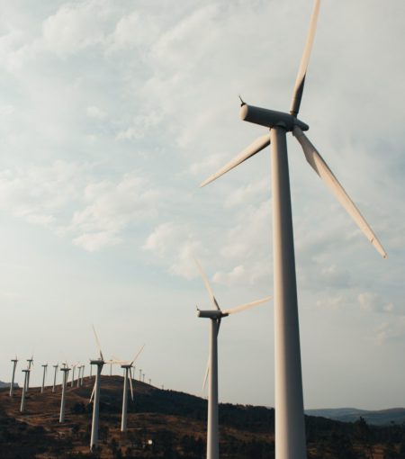 pexels-ave-calvar-martinez-3010250